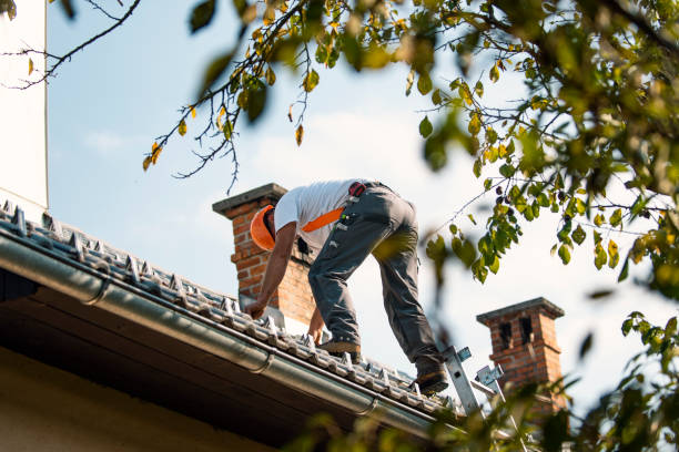 Best Metal Roofing Contractor  in Collinsville, MS