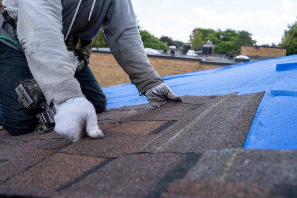 Tile Roofing Contractor in Collinsville, MS